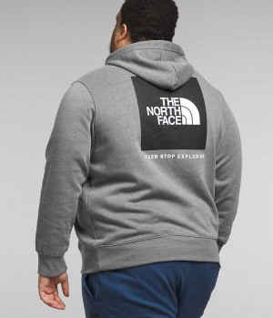 Hanorac cu Gluga The North Face Big Box NSE Pullover Barbati Gri | ROMANIA NFELRDH