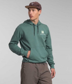 Hanorac cu Gluga The North Face Box NSE Pullover Barbati Verzi | ROMANIA EZTIRQW