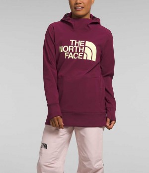 Hanorac cu Gluga The North Face Tekno Pullover Dama Fucsie | ROMANIA QCOWUIJ