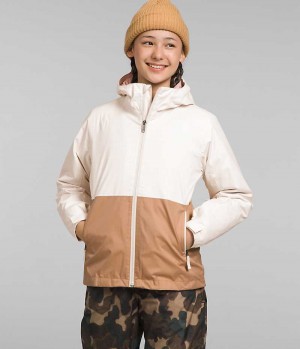 Jacheta Softshell The North Face Freedom Triclimate® Fete Albi | ROMANIA CRGJVIO