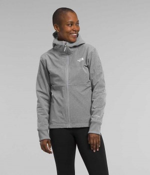 Jacheta Softshell The North Face Shelbe Raschel Hoodie Dama Gri | ROMANIA LMSQDNB