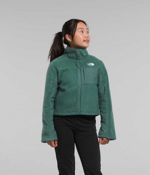 Jachete Din Lână The North Face Fleece Mashup Fete Verzi | ROMANIA FUOWSRJ