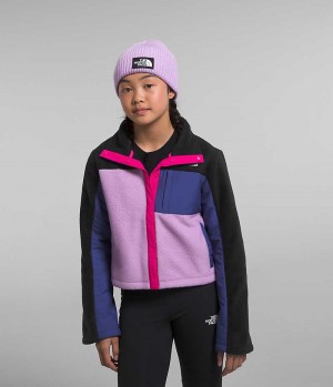 Jachete Din Lână The North Face Fleece Mashup Fete Colorati | ROMANIA JSWPHQZ