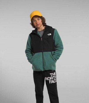 Jachete Din Lână The North Face Forrest Full-Zip Cu Glugă Baieti Verzi | ROMANIA HJLMEYT