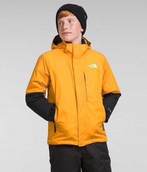 Jachete Izolate The North Face Freedom Extreme Baieti Aurii | ROMANIA NXEVOGH