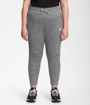 Pantaloni Jogger The North Face Plus Canyonlands Dama Gri | ROMANIA LBNPVQT