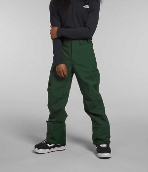 Pantaloni The North Face Freedom Barbati Verzi | ROMANIA PLTQRGB