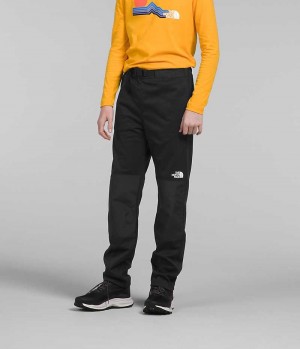 Pantaloni The North Face Iarnă Warm Baieti Negrii | ROMANIA CBGNQTY