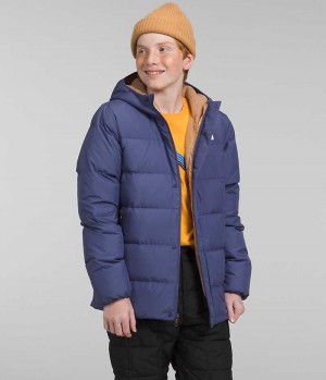 Parka The North Face North Down Fleece-Captusite Baieti Albastri | ROMANIA BAQXFJW