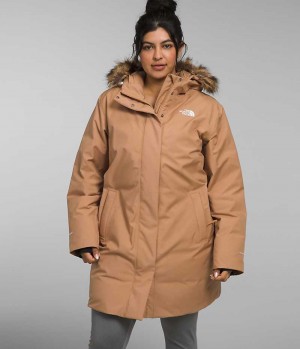 Parka The North Face Plus Arctic Dama Maro | ROMANIA SCGUDXI