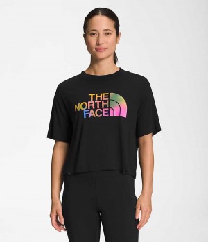 Tricou The North Face Scurte Sleeve Half Dome Crop Dama Negrii | ROMANIA LFNXBCU