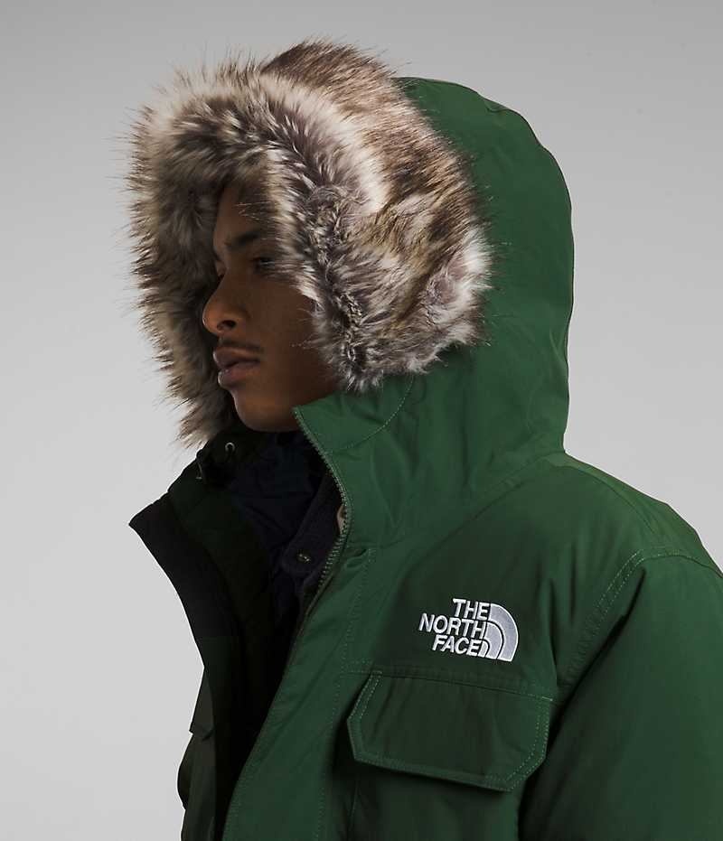 Geaca Bomber The North Face McMurdo Barbati Verzi | ROMANIA XLZCBAM