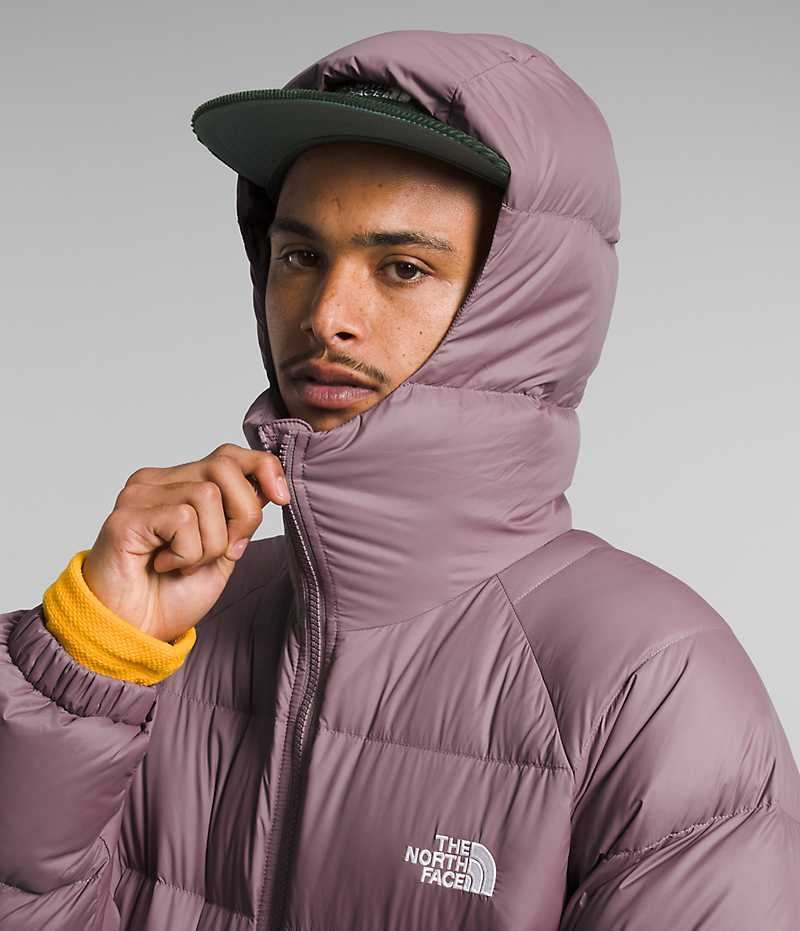 Geaca Puf The North Face Hydrenalite™ Hoodie Barbati Fucsie | ROMANIA YZEBTLV