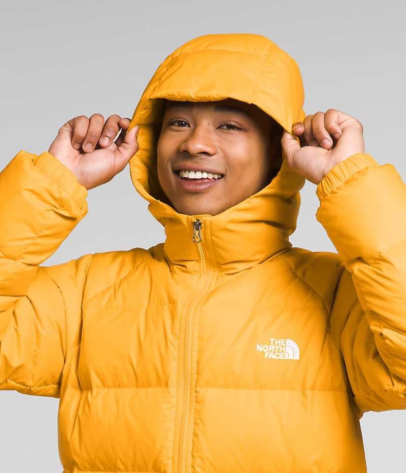 Geaca Puf The North Face Hydrenalite™ Hoodie Barbati Aurii | ROMANIA LVMBRKT