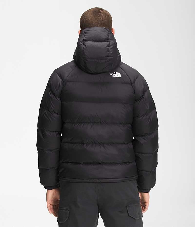 Geaca Puf The North Face Hydrenalite™ Hoodie Barbati Negrii | ROMANIA ONHSJML