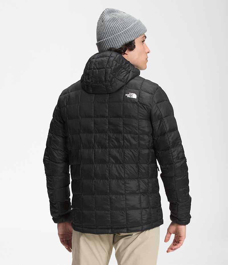 Geaca Puf The North Face ThermoBall™ Eco Hoodie 2.0 Barbati Negrii | ROMANIA CZNJVHE