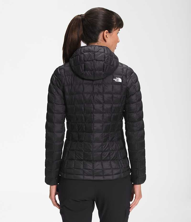 Geaca Puf The North Face ThermoBall™ Eco Hoodie 2.0 Dama Negrii | ROMANIA MQXIYJW