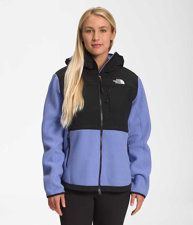 Jachete Din Lână The North Face Denali Hoodie Dama Negrii Albastri | ROMANIA HTQVWFK