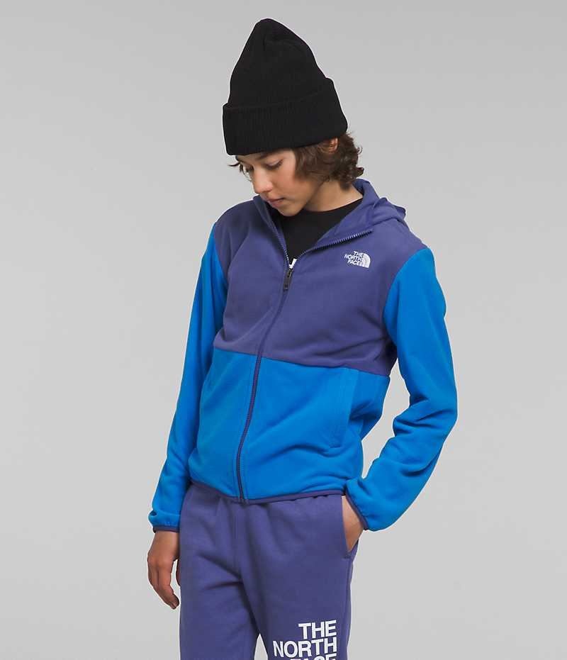 Jachete Din Lână The North Face Glacier Full-Zip Cu Glugă Baieti Albastri | ROMANIA GFRSLKI