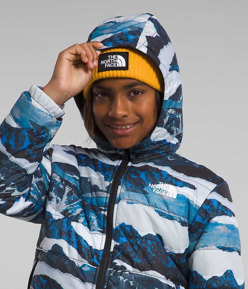 Jachete Din Lână The North Face Reversible Mt Chimbo Full-Zip Cu Glugă Baieti Albastri | ROMANIA HAITEUR