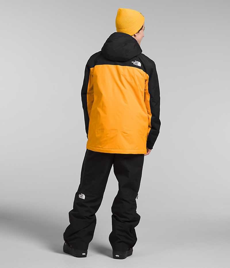 Jachete Izolate The North Face Freedom Barbati Aurii Negrii | ROMANIA IQLBPWD