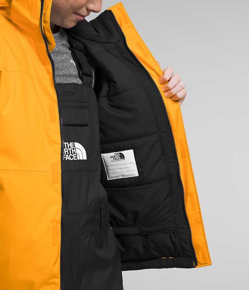 Jachete Izolate The North Face Freedom Extreme Baieti Aurii | ROMANIA NXEVOGH