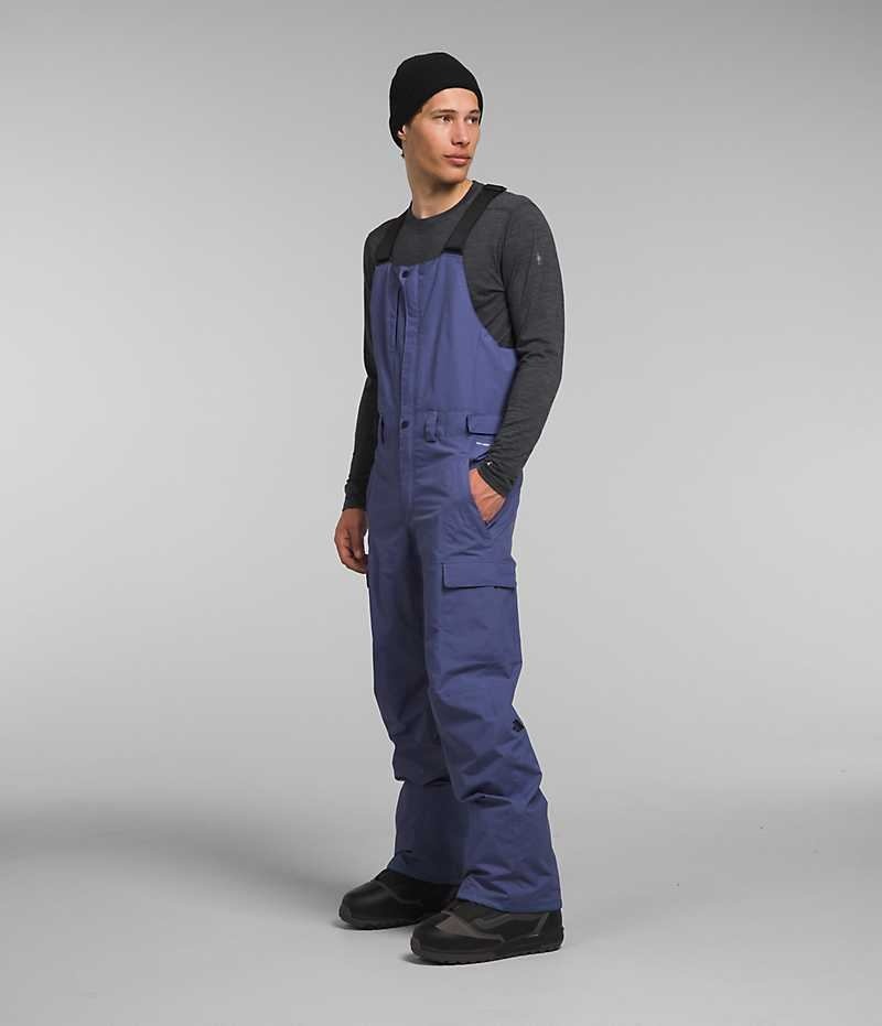 Pantaloni Bib The North Face Freedom Barbati Albastri | ROMANIA RXYWCJF