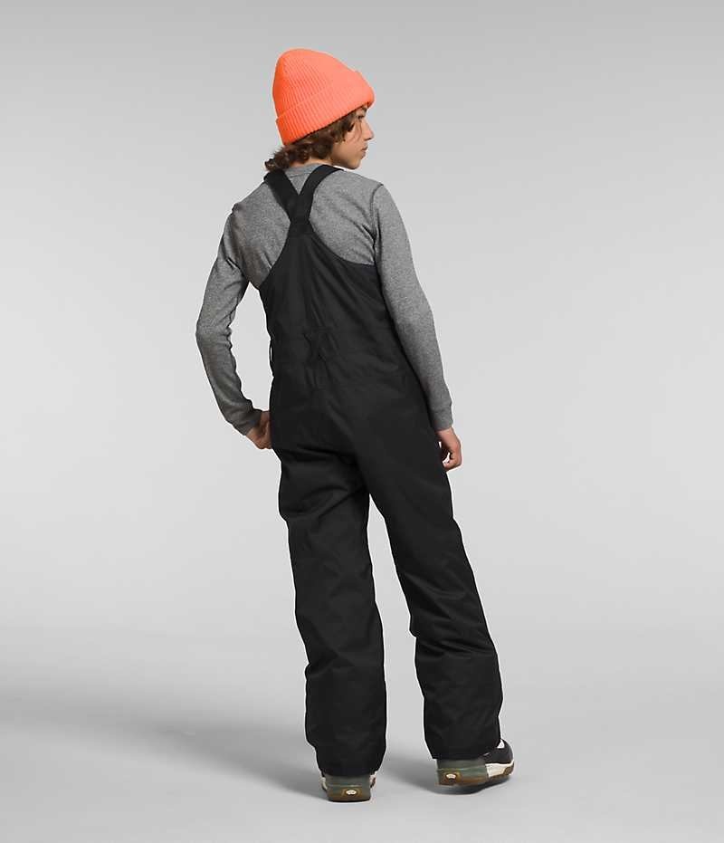 Pantaloni Bib The North Face Freedom Insulated Baieti Negrii | ROMANIA CZJNYKP