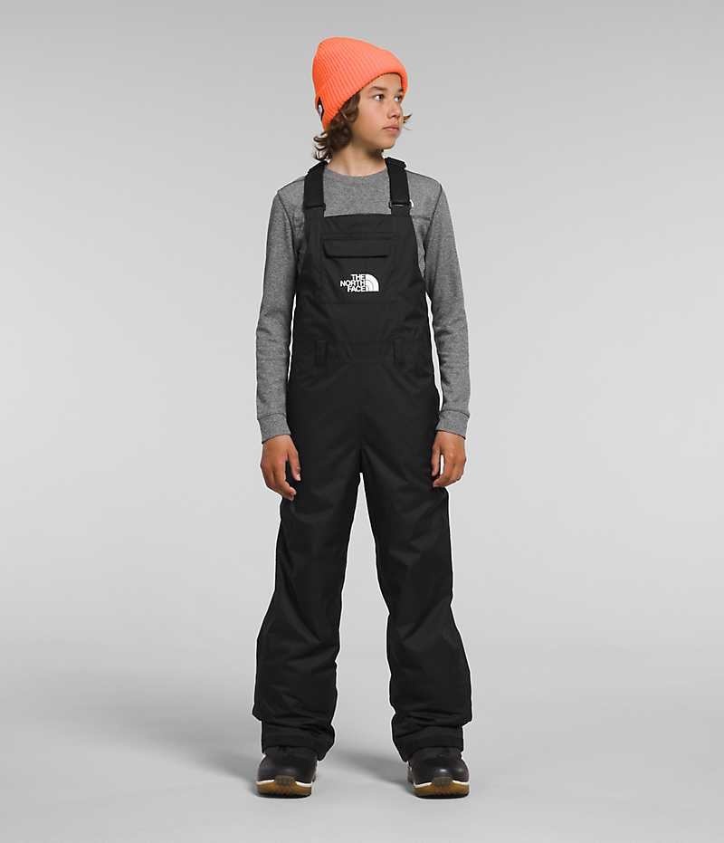 Pantaloni Bib The North Face Freedom Insulated Baieti Negrii | ROMANIA CZJNYKP