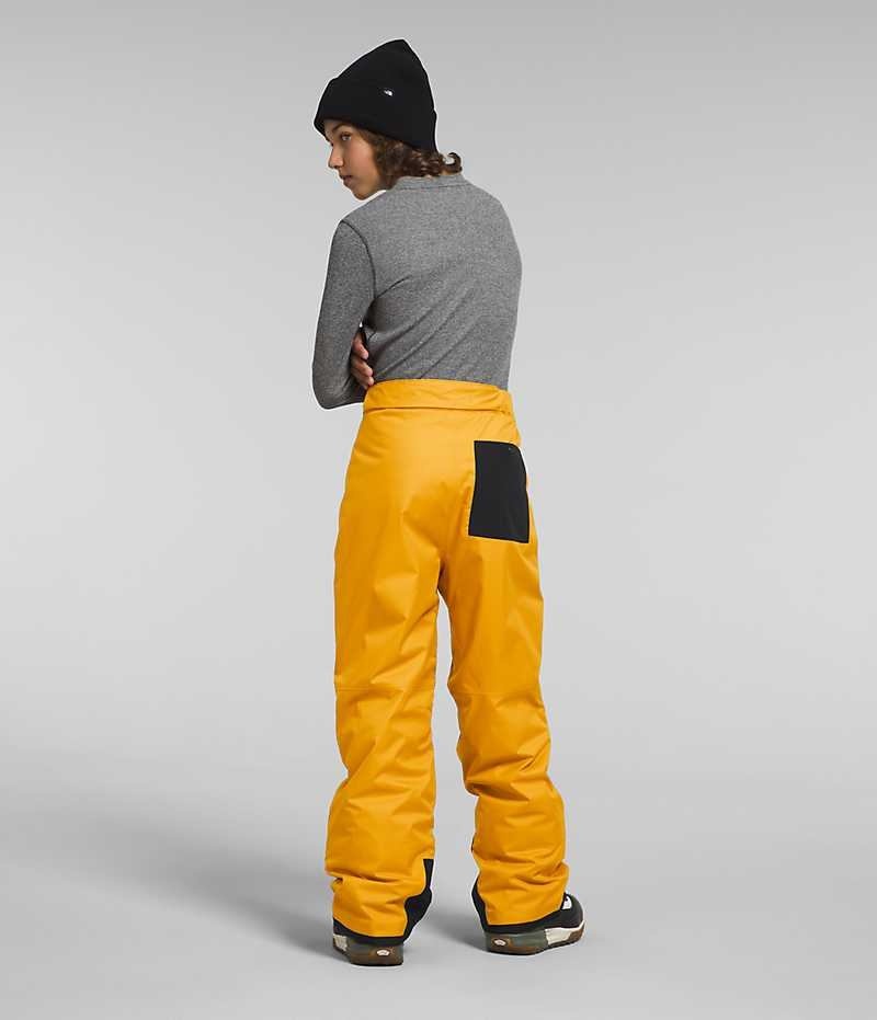 Pantaloni Izolați The North Face Freedom Baieti Aurii | ROMANIA DAVNZXR