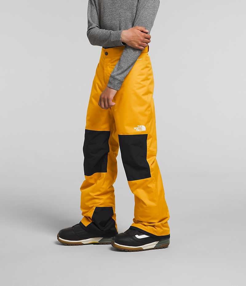 Pantaloni Izolați The North Face Freedom Baieti Aurii | ROMANIA DAVNZXR