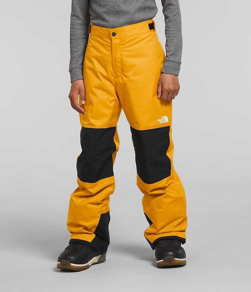 Pantaloni Izolați The North Face Freedom Baieti Aurii | ROMANIA DAVNZXR