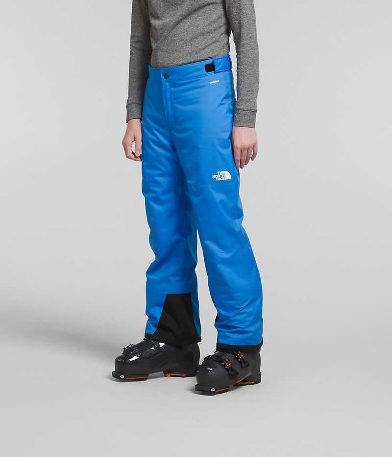 Pantaloni Izolați The North Face Freedom Baieti Albastri | ROMANIA GLUPSTI