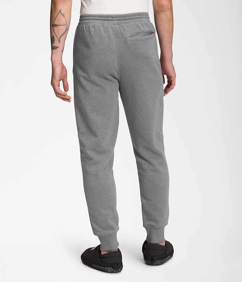 Pantaloni Jogger The North Face Box NSE Barbati Gri | ROMANIA GNQWYRP