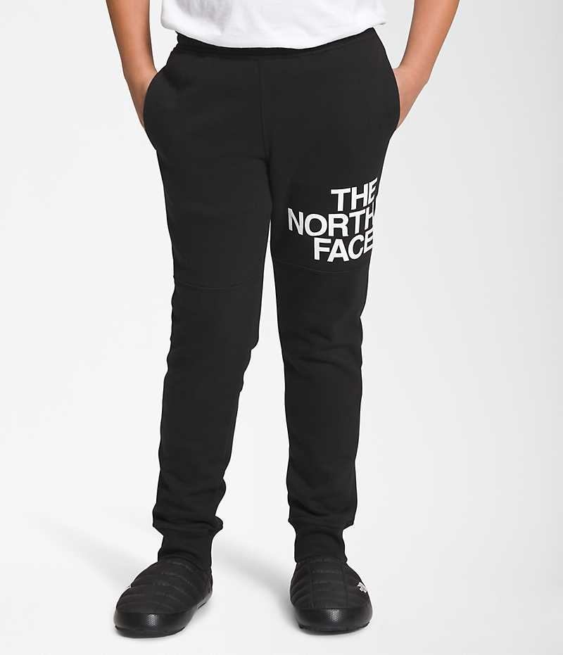 Pantaloni Jogger The North Face Camp Fleece Baieti Negrii | ROMANIA NOHTQAM