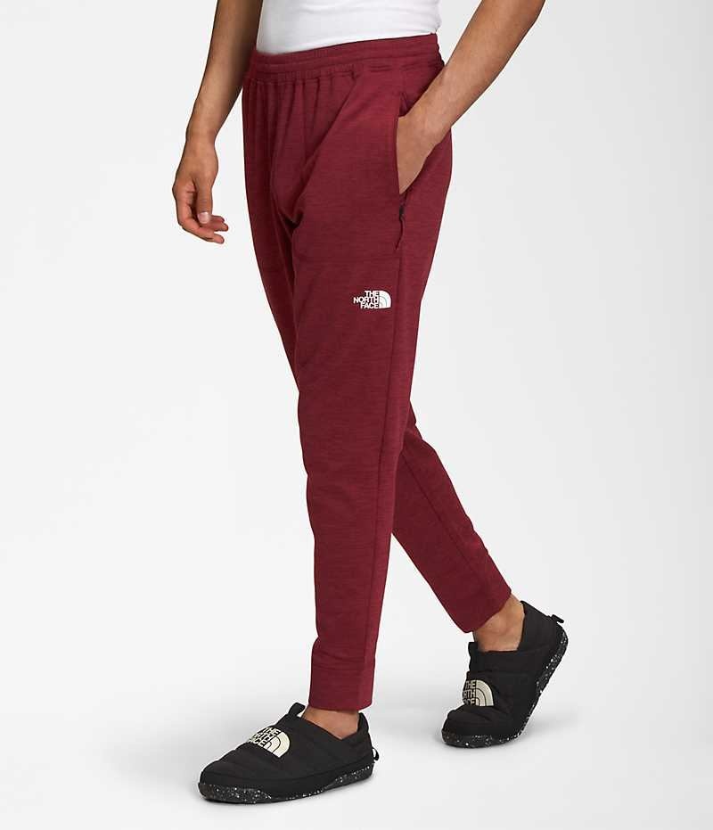 Pantaloni Jogger The North Face Canyonlands Barbati Rosii | ROMANIA GLVWZDS