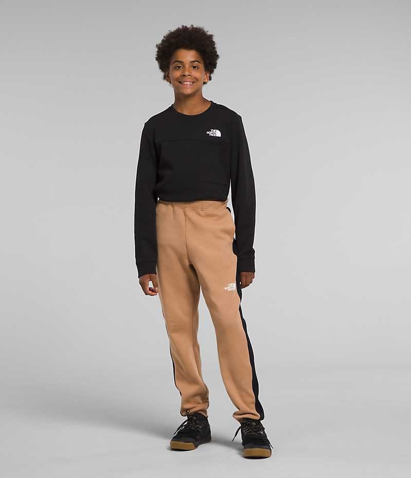 Pantaloni Jogger The North Face TNF™ Tech Baieti Kaki | ROMANIA TZRBYIM