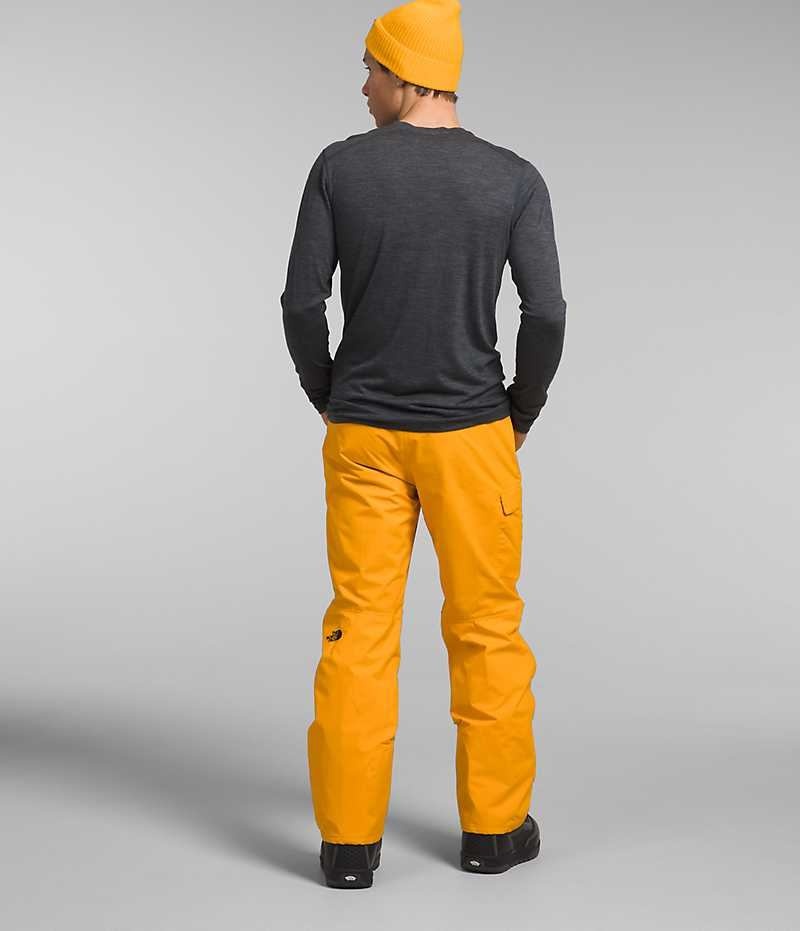 Pantaloni The North Face Freedom Barbati Aurii | ROMANIA XFRWPYC