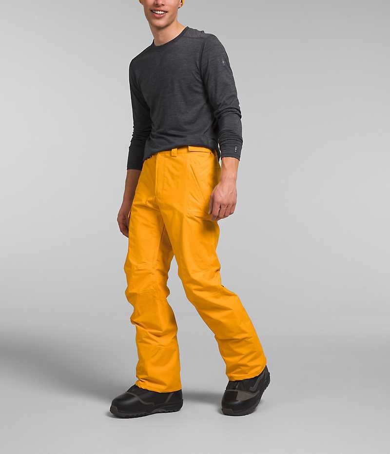 Pantaloni The North Face Freedom Barbati Aurii | ROMANIA XFRWPYC