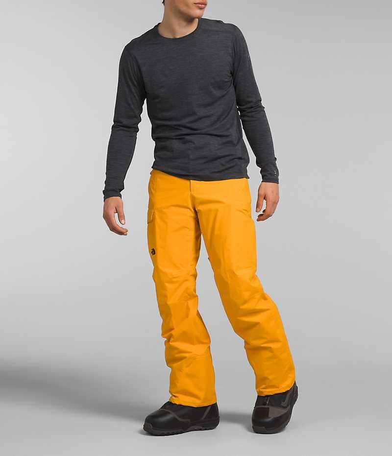 Pantaloni The North Face Freedom Barbati Aurii | ROMANIA XFRWPYC