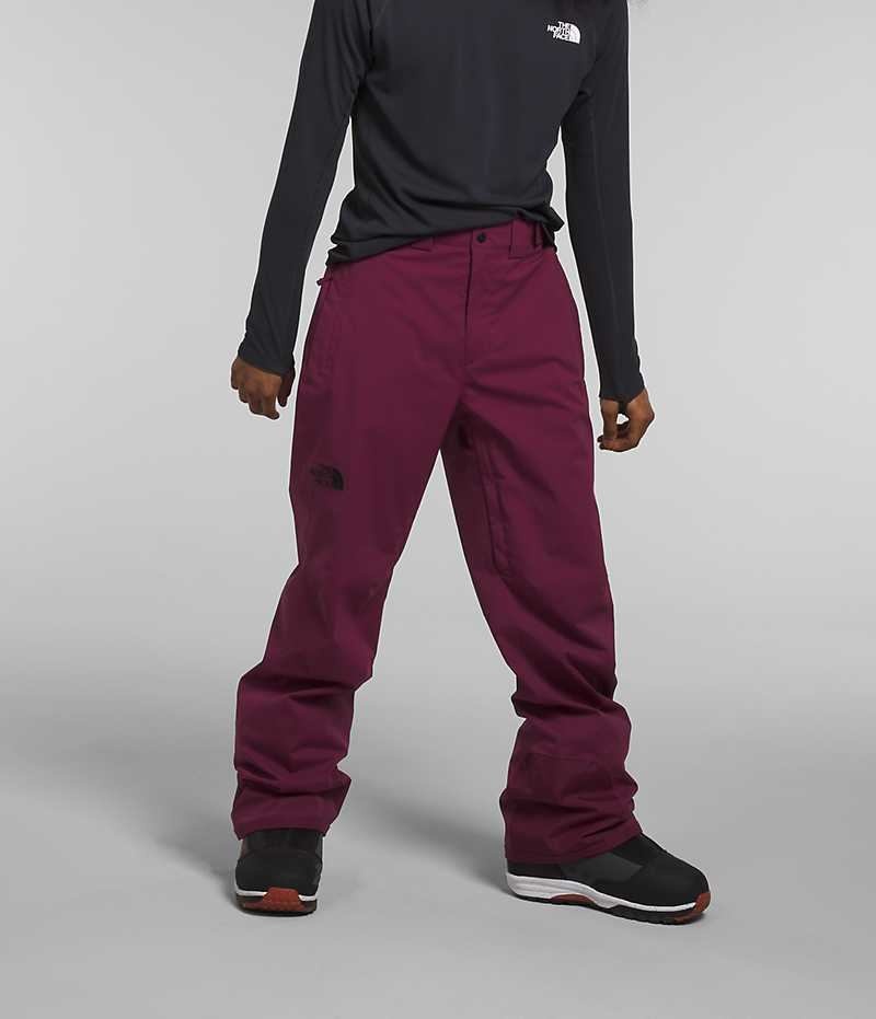 Pantaloni The North Face Freedom Stretch Barbati Fucsie | ROMANIA QKIBEWV