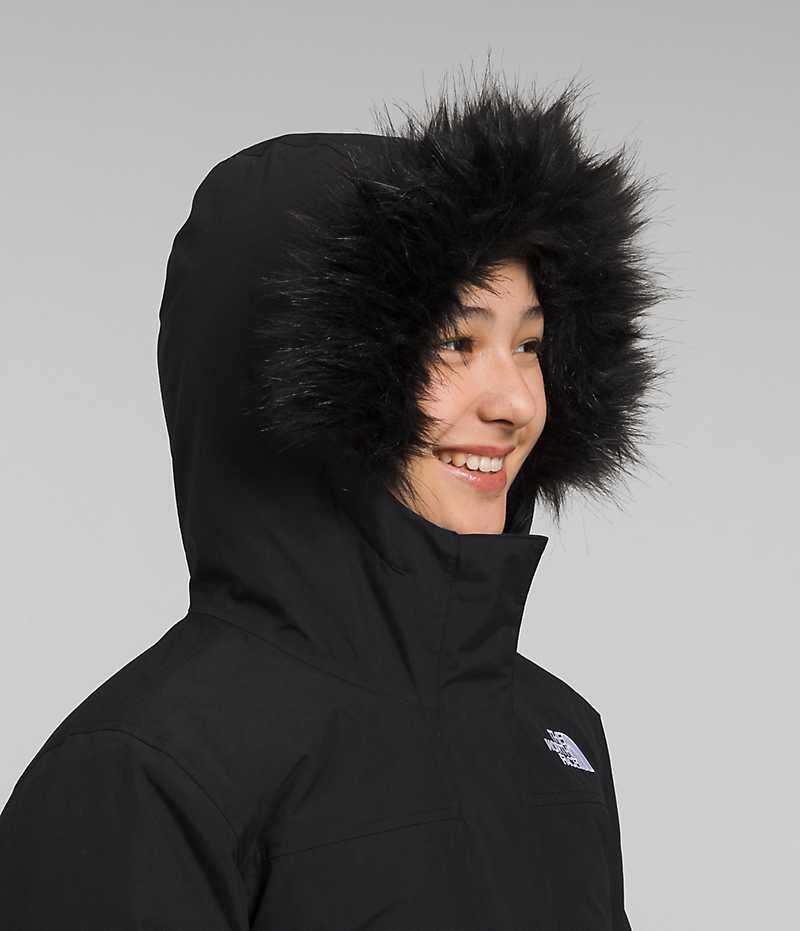 Parka The North Face Arctic Fete Negrii | ROMANIA TLCAHGR