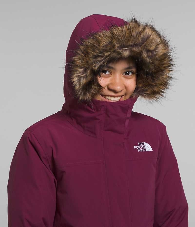 Parka The North Face Arctic Fete Visinii | ROMANIA GNDFSRL