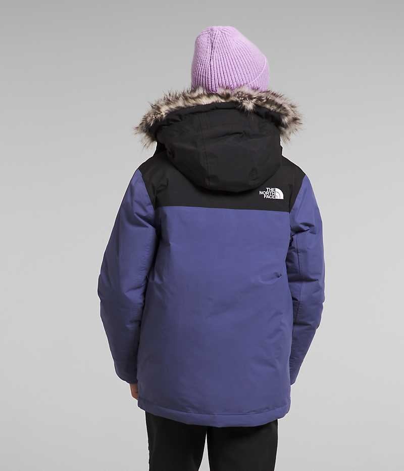 Parka The North Face McMurdo Baieti Albastri | ROMANIA WGRPBHE