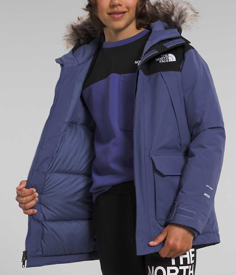 Parka The North Face McMurdo Baieti Albastri | ROMANIA WGRPBHE