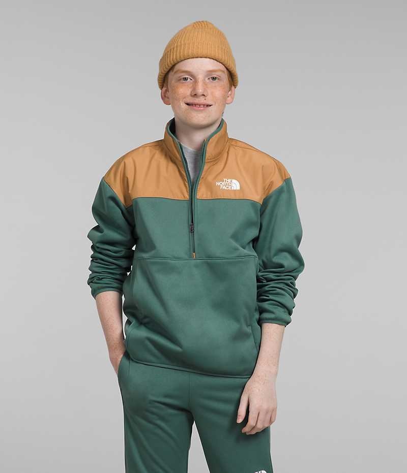 Pulover The North Face Iarnă Warm ½-Zip Baieti Verzi | ROMANIA QXHSGYI