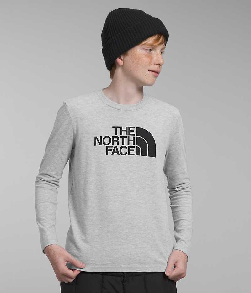 Tricou The North Face Long Sleeve Grafice Baieti Gri Deschis | ROMANIA JNSPHUL